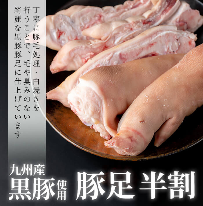 鹿児島県志布志市の画像3