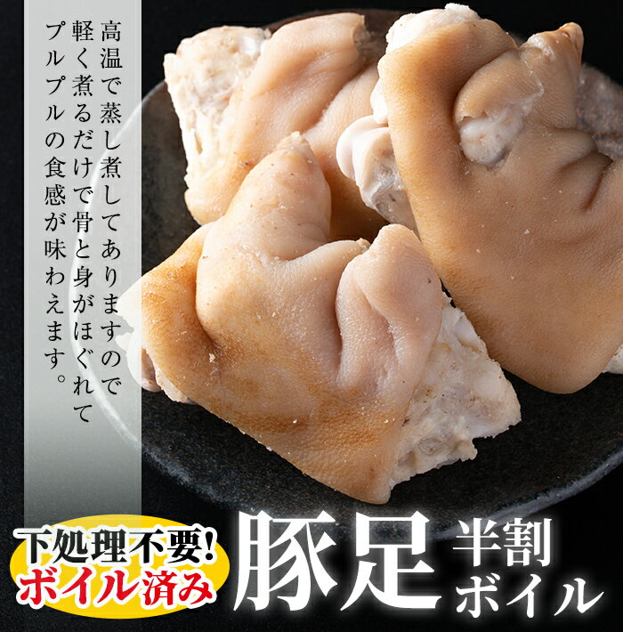 鹿児島県志布志市の画像3