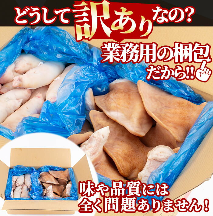 鹿児島県志布志市の画像2