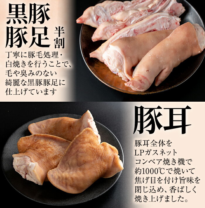 鹿児島県志布志市の画像3