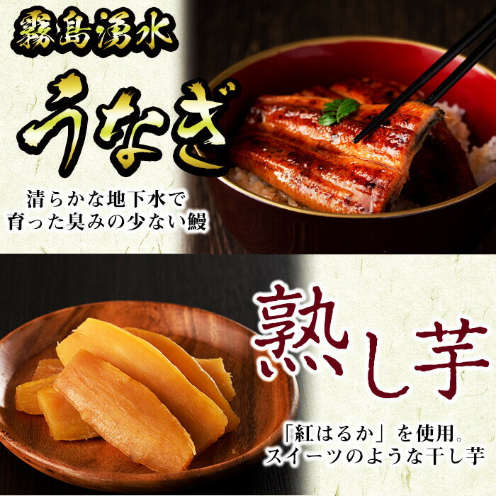 【ふるさと納税】＜入金確認後、2週間以内に発送！＞うなぎ生産量日本一の鹿児島県産！志布志市産の霧島湧水鰻2尾　計310g以上と紅はるかで作った熟し芋200g！国産ウナギとさつまいもを両方味わうセット【志布志市観光特産品協会】a3-105