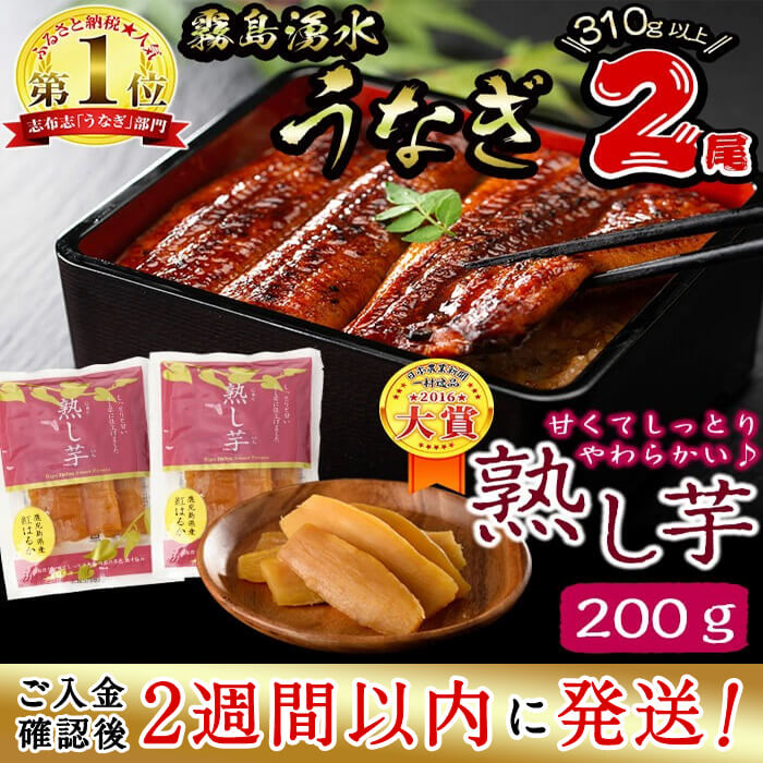 【ふるさと納税】＜入金確認後、2週間以内に発送！＞うなぎ生産量日本一の鹿児島県産！志布志市産の霧島湧水鰻2尾　計310g以上と紅はるかで作った熟し芋200g！国産ウナギとさつまいもを両方味わうセット【志布志市観光特産品協会】a3-105