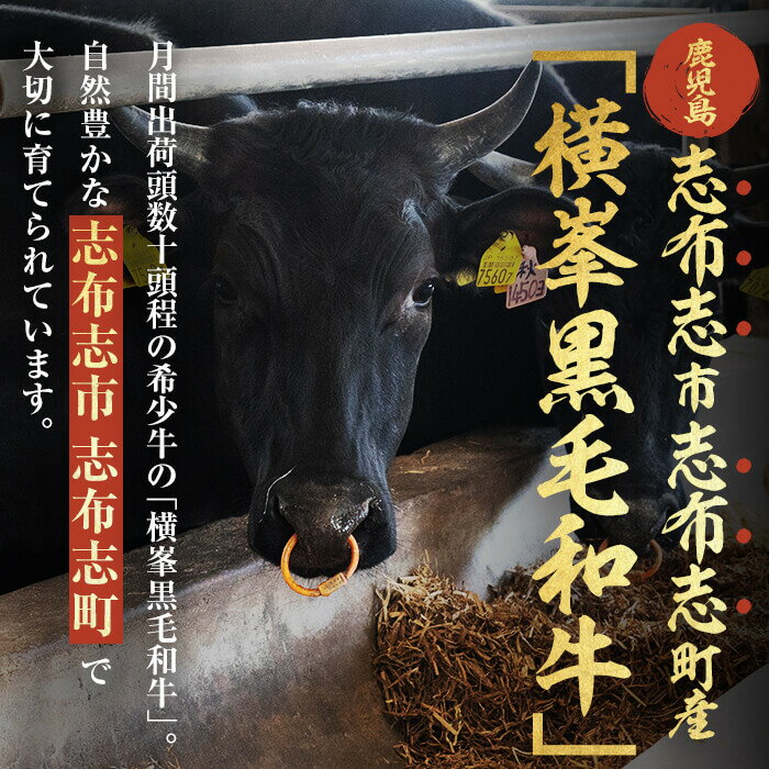 【ふるさと納税】月間25セット限定！【数量限定】鹿児島県志布志市産横峯黒毛和牛のモツ鍋セット(4〜5人前) 鹿児島県産 国産 牛肉 牛 希少牛 もつ モツ もつ鍋 モツ鍋 ホルモン 鍋【エル三和】a3-211