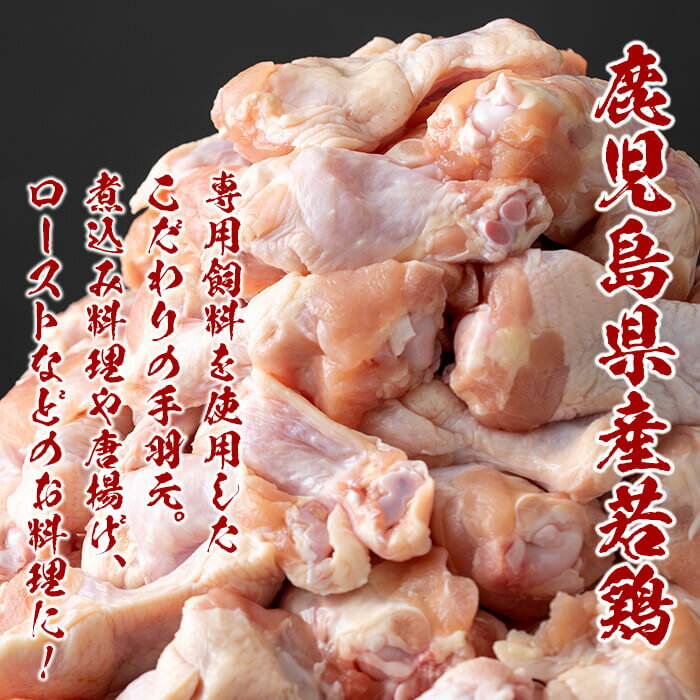 鹿児島県志布志市の画像3