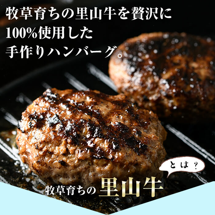 【ふるさと納税】里山牛ハンバーグ＆きざみうなぎセット (総計680g以上) うなぎ 鰻 ウナギ 蒲焼き 真空パック うな丼 鰻重 牛 牛肉 鹿児島県産 国産 ハンバーグ 100%【志布志市観光特産品協会】b0-188 f462217-shibushi-10001993 鹿児島県志布志市 サンプル画像2