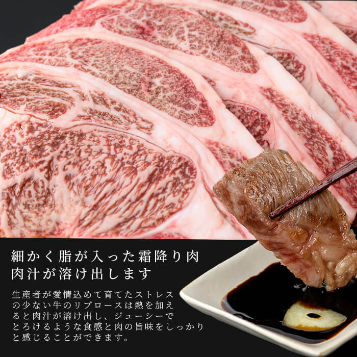鹿児島県志布志市の画像3