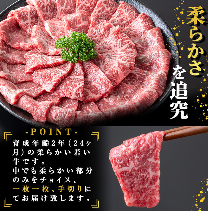 【ふるさと納税】鹿児島県志布志市産横峯黒毛和牛の赤身焼肉(計450g・225g×2P) 鹿児島県産 国産 牛肉 牛 赤身 赤身肉 焼き肉 希少牛 手切り モモ ウデ バーベキュー BBQ【エル三和】b0-195 f462217-shibushi-10001751 鹿児島県志布志市 サンプル画像2