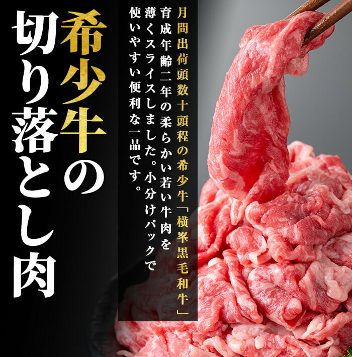 【ふるさと納税】鹿児島県志布志市産横峯黒毛和牛の切り落とし肉(計500g・125g×4P) 鹿児島県産 国産 牛肉 牛 スライス 切り落とし 焼き肉 希少牛 小分け モモ ウデ バーベキュー BBQ すき焼き しゃぶしゃぶ【エル三和】b0-193 3