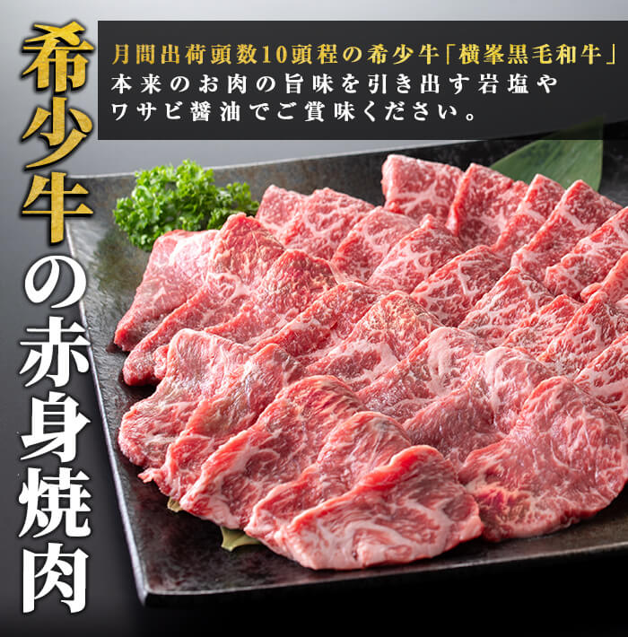 【ふるさと納税】鹿児島県志布志市産横峯黒毛和牛の赤身焼肉(計450g・225g×2P) 鹿児島県産 国産 牛肉 牛 赤身 赤身肉 焼き肉 希少牛 手切り モモ ウデ バーベキュー BBQ【エル三和】b0-195 f462217-shibushi-10001751 鹿児島県志布志市 サンプル画像3