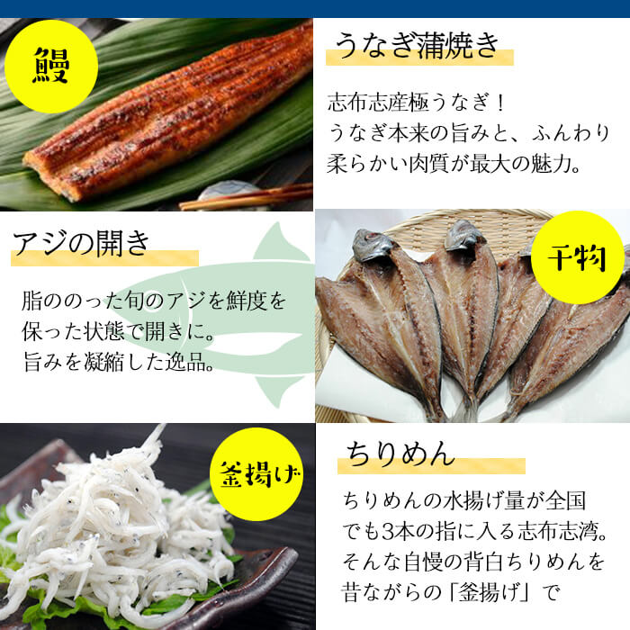 鹿児島県志布志市の画像3