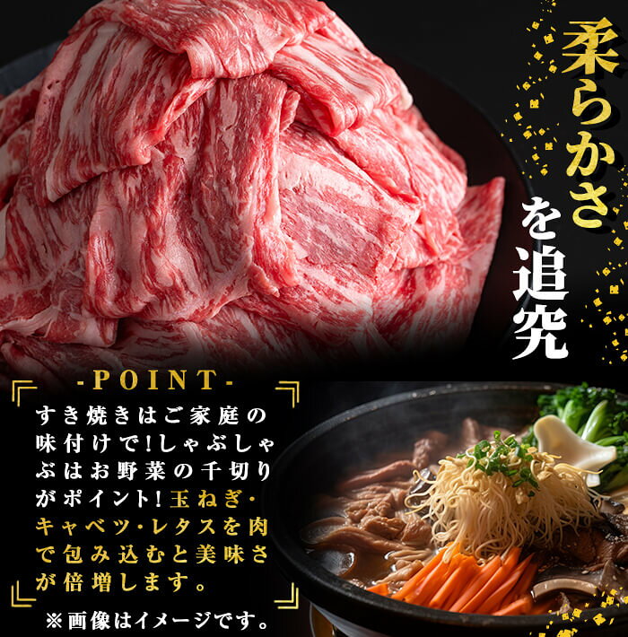 【ふるさと納税】鹿児島県志布志市産横峯黒毛和牛の赤身すき焼き・しゃぶしゃぶ肉(計700g・350g×2P) 鹿児島県産 国産 牛肉 牛 スライス 希少牛 モモ ウデ バーベキュー BBQ すき焼き しゃぶしゃぶ【エル三和】c0-120 f462217-shibushi-10001754 鹿児島県志布志市 サンプル画像2