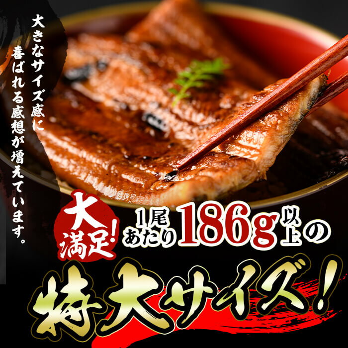 【ふるさと納税】 特大! 国産 八本木樽鰻の蒲焼(186g以上×5尾)うなぎ 鰻 ウナギ 5尾 国産 九州産 蒲焼き かばやき 冷凍 うな丼 うな重 ひつまぶし タレ 山椒 ランキング 人気【山田水産】c0-104