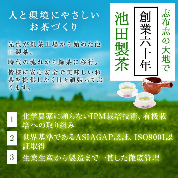 【ふるさと納税】鹿児島県産 ほうじ茶・煎茶ティーバッグ詰め合わせ 各100パックずつの計200パックだからお好みのお茶をがぶがぶ飲める！緑茶やほうじ茶をアイスでもホットでもお手軽に！お食事のお供にも最適！【池田製茶】a3-116