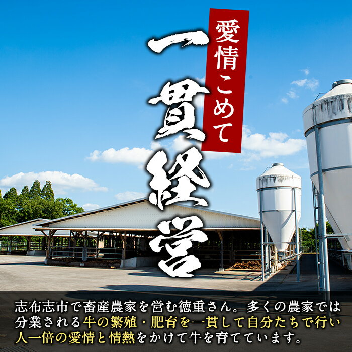 【ふるさと納税】【鹿児島県産】徳重さんのA5黒毛和牛霜降スライス(200g×4パック/計800g) 鹿児島県産 A5 牛肉 すき焼き しゃぶしゃぶ 全国和牛能力共進会 黒毛和牛 小分け 高級 【カミチク】a8-006