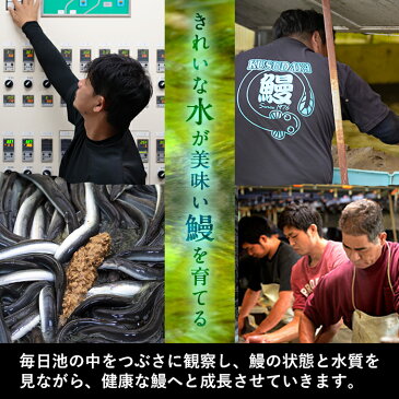 【ふるさと納税】＜入金確認後、2週間以内に発送！＞鹿児島県大隅産くすだ屋の極上うなぎ(大)6尾＜計900g以上＞国産ウナギのかば焼き真空パック！鰻丼、鰻重、ひつまぶしに【楠田養鰻】c6-050