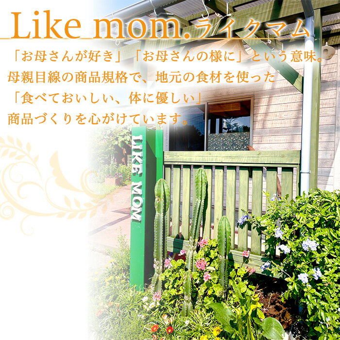 鹿児島県志布志市の画像2
