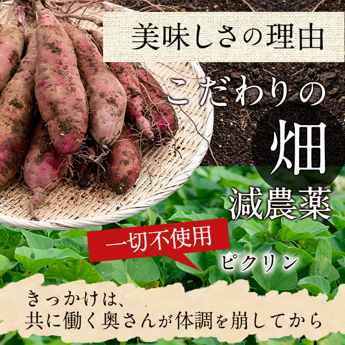 【ふるさと納税】国産！減農薬！まことの芋 さつまいも紅はるか(5kg 大小混載) 鹿児島県産天然お菓子 焼き芋にも♪【上迫農園】A0-003が大人気返礼品になっている理由とは　ふるさと納税　人気　返礼品　ランキング