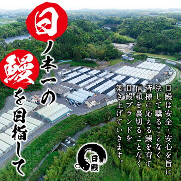 【ふるさと納税】うなぎ生産量日本一の鹿児島県産！日ノ本一の鰻の蒲焼き＜特大＞3尾セット(計705g以上)たれ、山椒付き！「酸素たっぷり贅沢水」で育ったおいしいウナギ【日鰻】c0-032