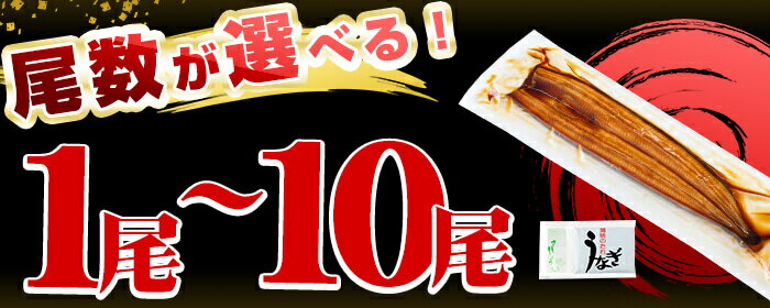 【ふるさと納税】【7/7までの入金で丑の日までにお届け】【尾数が選べる！】鹿児島県産 うなぎの大楠＜特大＞1尾〜10尾！うなぎ 鰻 ウナギ 1尾 3尾 6尾 10尾 国産 九州産 蒲焼き かばやき 冷凍 うな重 ひつまぶし タレ 山椒 真空パック ランキング 人気【大楠鰻】