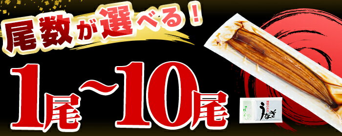 【ふるさと納税】＜入金確認後、2週間以内に発送！＞【尾数が選べる！】鹿児島県産 うなぎの大楠＜特大＞1尾～10尾！うなぎ 鰻 ウナギ 1尾 3尾 6尾 10尾 国産 九州産 蒲焼き かばやき 冷凍 うな重 ひつまぶし タレ 山椒 真空パック ランキング 人気【大楠鰻】