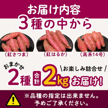 【ふるさと納税】【数量限定】国産さつまいも品種おまかせ おたのしみ2種詰合せ2kg!サツマイモ生産量日本一の鹿児島県産!ねっとり系紅はるか、ほくほく系高系14号や紅さつまの中から2種類!焼き芋や天ぷら、スイートポテト・大学芋などのお菓子作りにも【南九州青果】p5-012