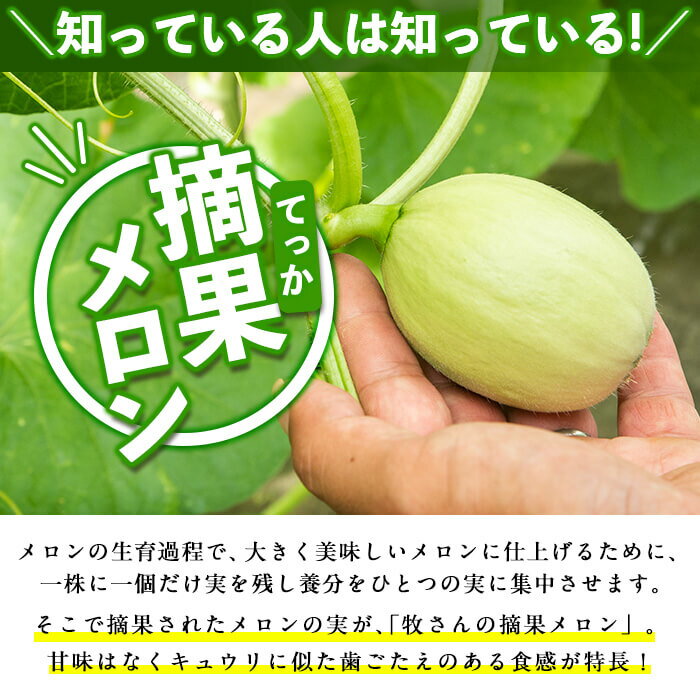 【ふるさと納税】＜先行予約受付中！R6年5月下旬～6月末頃配送予定＞知っている人は知っている！秘蔵っ娘メロンの副産物「摘果メロン」2kg！（子メロン・小メロン）お漬物・刺身のツマ・サラダなど活用方法イロイロ♪【ファームランド牧】p8-115