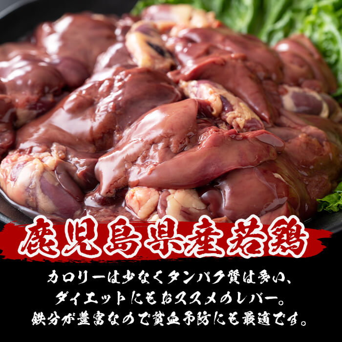 鹿児島県志布志市の画像3