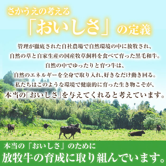 【ふるさと納税】里山牛ハンバーグ＆きざみうなぎセット (総計680g以上) うなぎ 鰻 ウナギ 蒲焼き 真空パック うな丼 鰻重 牛 牛肉 鹿児島県産 国産 ハンバーグ 100%【志布志市観光特産品協会】b0-188 f462217-shibushi-10001993 鹿児島県志布志市 サンプル画像3