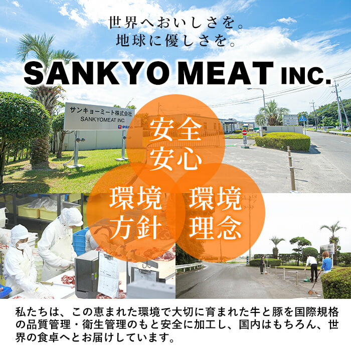 【ふるさと納税】【数量限定】国産黒毛和牛切り落とし 計900g(300g×3P) 牛肉 牛 切り落とし 小間切れ 小分け 真空パック 牛丼 カレー 肉じゃが 炒めもの 【サンキョーミート】a7-010