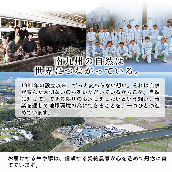 【ふるさと納税】鹿児島県産黒豚ヒレ(2分割ブロック)3本＜計1.1kg以上＞鹿児島黒豚肉の希少部位ヒレ肉を塊でお届け！ヒレカツやヒレステーキ、炒め物でも♪ヘレ肉【サンキョーミート】a5-206