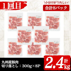 【ふるさと納税】【定期便・全3回】九州産 豚肉定期便(3ヵ月連続・毎回2kg以上・合計9.1kg以上) 定期便 お楽しみ 頒布会 国産 肉 豚肉 豚バラ 冷凍 小分け すき焼き しゃぶしゃぶ 豚しゃぶ 餃子 ランキング 人気【サンキョーミート】【カミチク】t0041-001