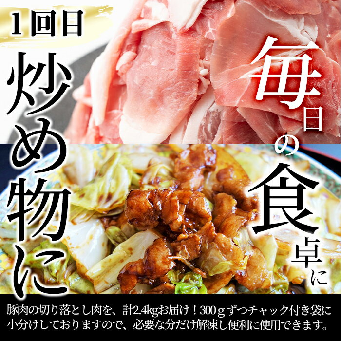 【ふるさと納税】【定期便・全3回】九州産 豚肉定期便(3ヵ月連続・毎回2kg以上・合計9.1kg以上) 定期便 お楽しみ 頒布会 国産 肉 豚肉 豚バラ 冷凍 小分け すき焼き しゃぶしゃぶ 豚しゃぶ 餃子 ランキング 人気【サンキョーミート】【カミチク】t0041-001