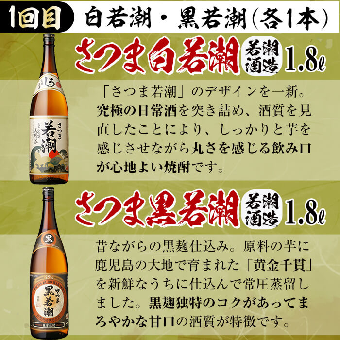 【ふるさと納税】≪定期便・全3回≫酒屋厳選！志布志の本格芋焼酎を飲み比べる志布志焼酎紀行 計10L以上！志布志を代表する3つの蔵元の本格焼酎を味わえるお楽しみ便！ 芋焼酎 いも焼酎 さつま芋 定期便 お湯割り 水割り ロック ストレート 10L 3回【江川商店】t0059-001