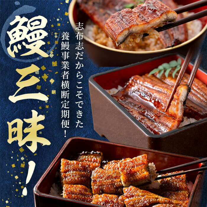 鹿児島県志布志市の画像3