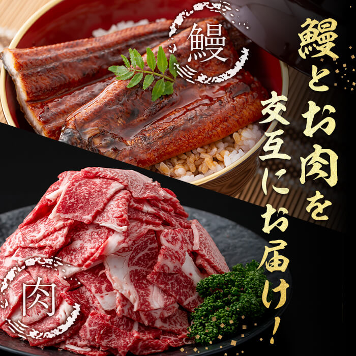 【ふるさと納税】【定期便全6回】鰻と肉の贅沢定期便！鰻とお肉が交互に届くお楽しみ便 定期便 牛肉 ステーキ 鰻 豚肉【楠田淡水】【サンキョーミート】【志布志市観光特産品協会】t0100-029 f462217-shibushi-10001732 鹿児島県志布志市 サンプル画像2