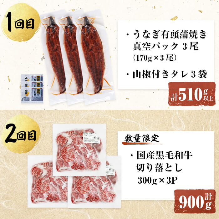 【ふるさと納税】【定期便全6回】鰻と肉の贅沢定期便！鰻とお肉が交互に届くお楽しみ便 定期便 牛肉 ステーキ 鰻 豚肉【楠田淡水】【サンキョーミート】【志布志市観光特産品協会】t0100-029 f462217-shibushi-10001732 鹿児島県志布志市 サンプル画像3