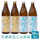 【ふるさと納税】大人気の志布志焼酎！志布志&志布志 Premium Blue(900ml×各2本・計4本)ロックやお湯割りはもちろんソーダ割、炭酸割も◎【若潮酒造】a5-073