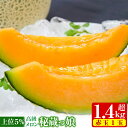【ふるさと納税】【予約】【2019年3月下旬以降順次発送】極...