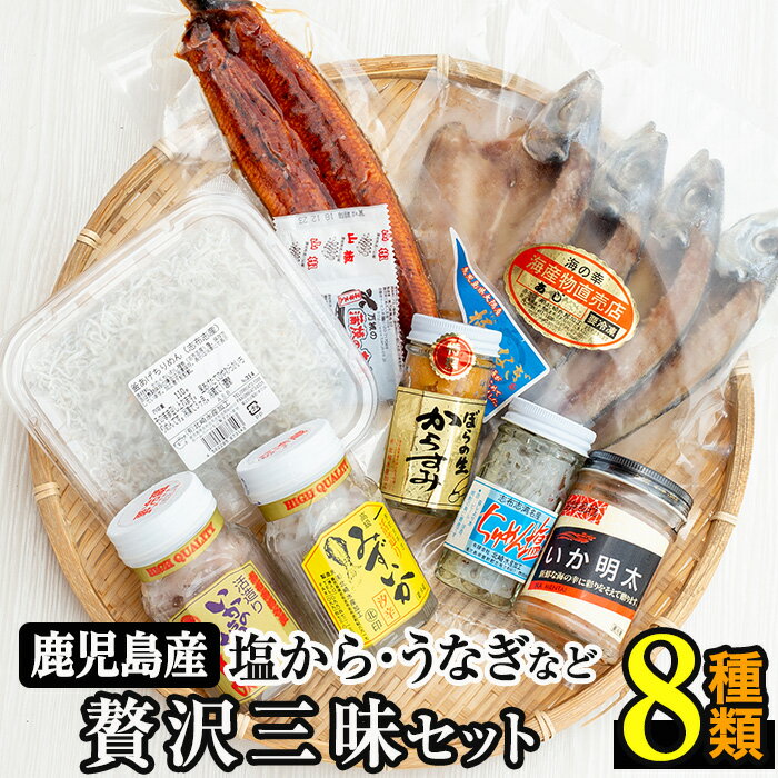 贅沢!志布志湾でとれた新鮮なミズイカ、ちりめんなどを使用した塩からに鹿児島産鰻など8種のセット[北崎水産]b5-015