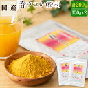 【ふるさと納税】鹿児島県産!春ウコン(粉末100g×2袋)こ