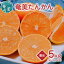 【ふるさと納税】 【2024年発送 先行予約】奄美 たんかん 優品5kg(2L〜Mサイズ) 農家直送 光センサー 柑橘 果物 奄美のみかん 奄美産 贈答用 家庭用 叶農園 2024 先行予約 16,000円