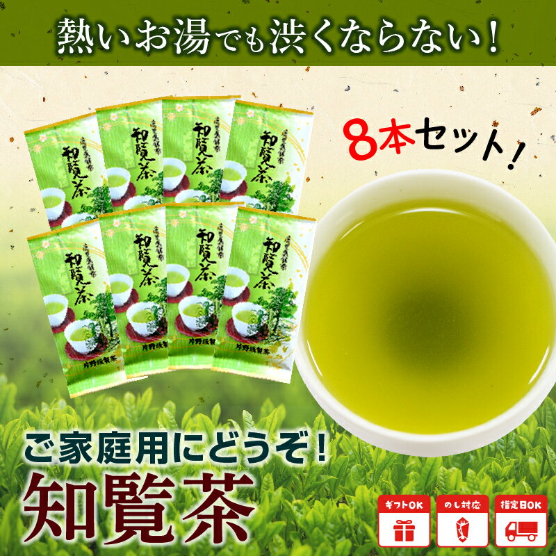 【ふるさと納税】熱いお湯でも渋くならない!ご家庭用におすすめ知覧茶が大人気返礼品になっている理由とは　ふるさと納税　人気　返礼品　ランキング
