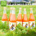 【ふるさと納税】酵素栽培人参ジュース720ml×6本