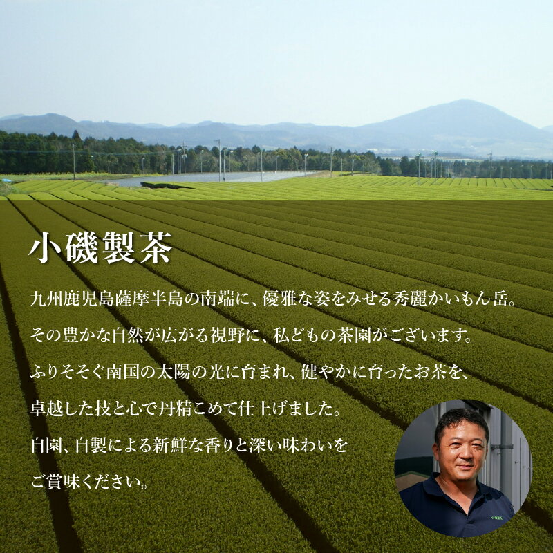 鹿児島県南九州市の画像3