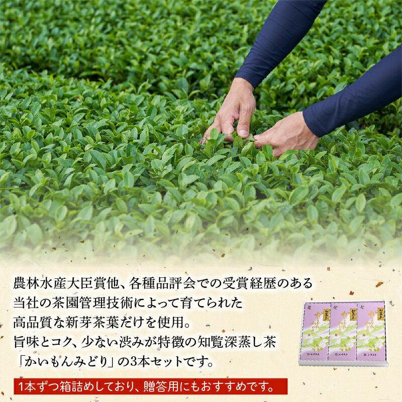 【ふるさと納税】知覧深蒸し茶かいもんみどり3本セットが大人気返礼品になっている理由とは　ふるさと納税　人気　返礼品　ランキング