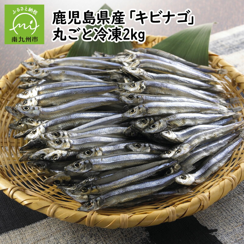 鹿児島県産 キビナゴ 500g 4パック 計 2kg 丸ごと 冷凍 カルシウム源 天ぷら 唐揚げ おかず 酒の肴 おつまみ ふるさとの味 魚介類 海の幸 お取り寄せ お取り寄せグルメ 鹿児島県 南九州市 送料無料