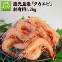 【ふるさと納税】鹿児島産 タカエビ 刺身用 400g 3パッ