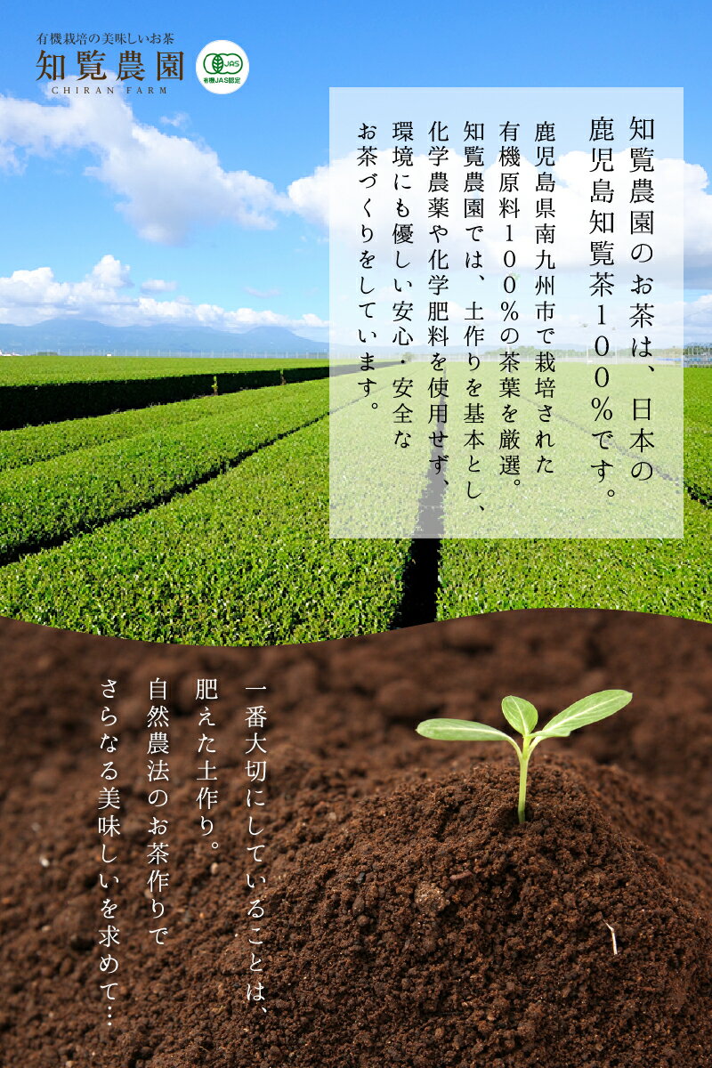 鹿児島県南九州市の画像3