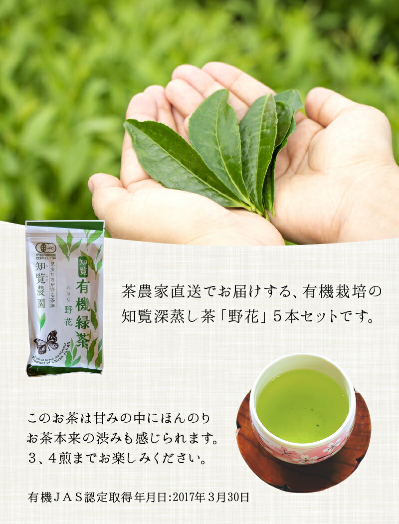 鹿児島県南九州市の画像2