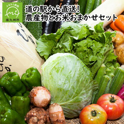 道の駅から直送 農産物 お米 おまかせ セット ひのひかり 2kg 季節 野菜 果物 米 手作り 梅干し 漬物 加工品 組み合わせ 詰め合わせ ギフト対応 のし対応 贈り物 お取り寄せ グルメ 鹿児島県産 南九州市 送料無料